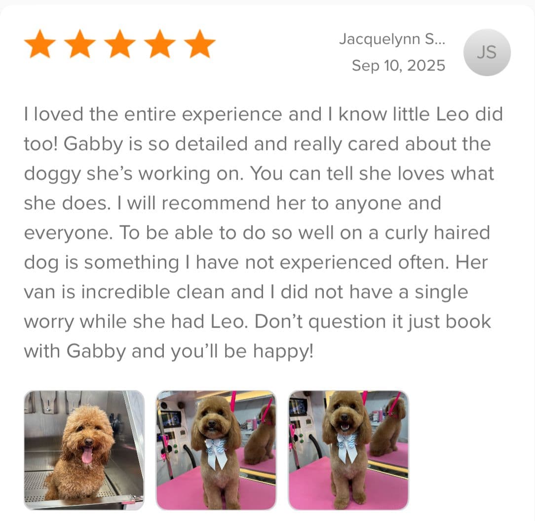 Review from Jacquelynn S.