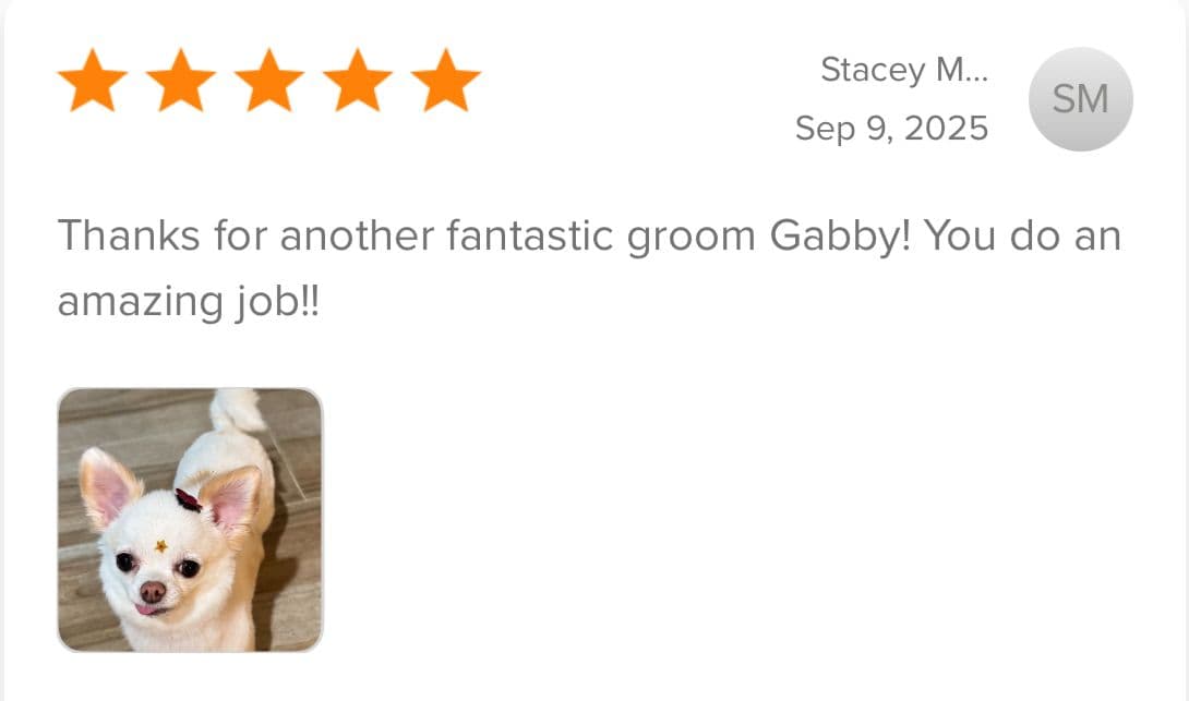 Review from Stacey M.
